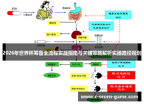 2026年世界杯筹备全流程实战指南与关键策略解析实操路径规划